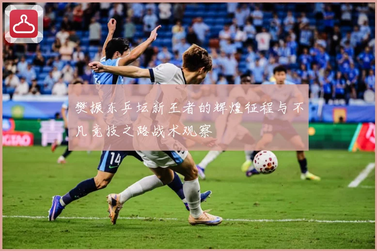 樊振东乒坛新王者的辉煌征程与不凡竞技之路战术观察