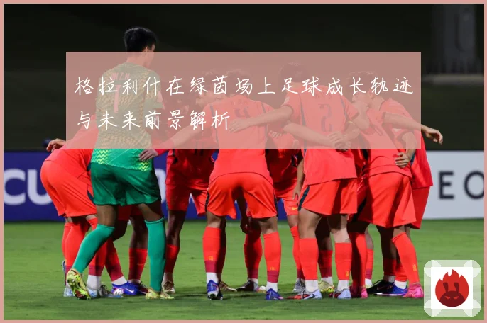 格拉利什在绿茵场上足球成长轨迹与未来前景解析