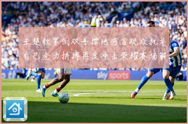 王楚钦累倒双手撑地感言观众托举自己全力拼搏再度冲击荣耀赛场解读