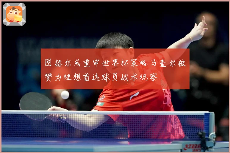 图赫尔或重审世界杯策略马奎尔被赞为理想首选球员战术观察